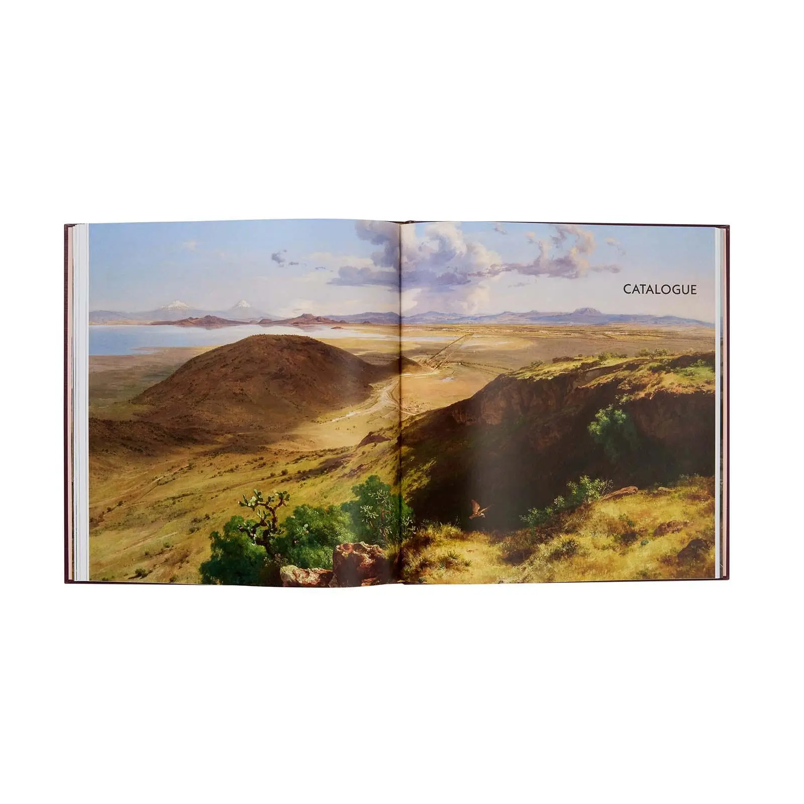 Bild: 9781857097252 | Jose Maria Velasco | A View of Mexico | Daniel Sobrino Ralston (u. a.)