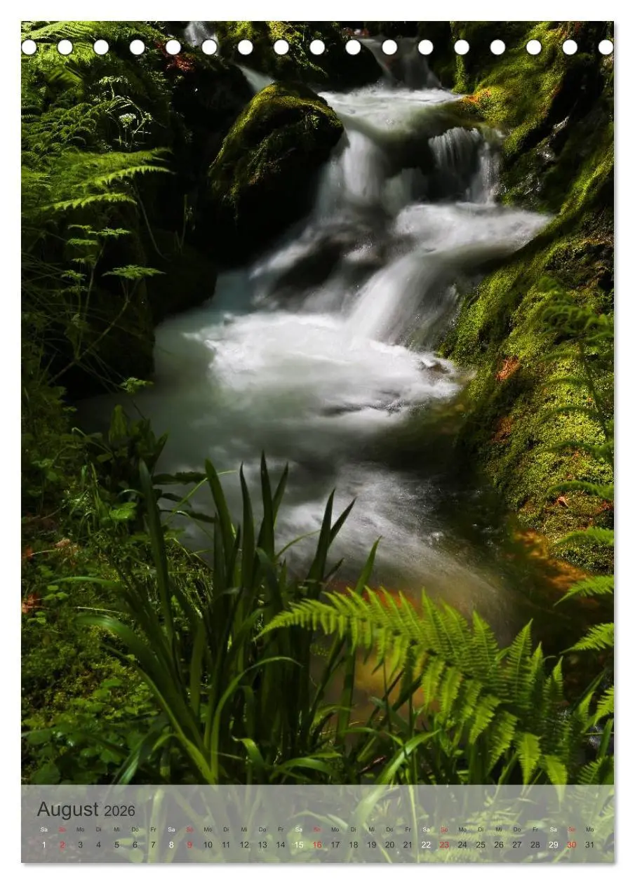 Bild: 9783516477252 | Alles im Fluss - Schwarzwaldwasser (Tischkalender 2026 DIN A5...
