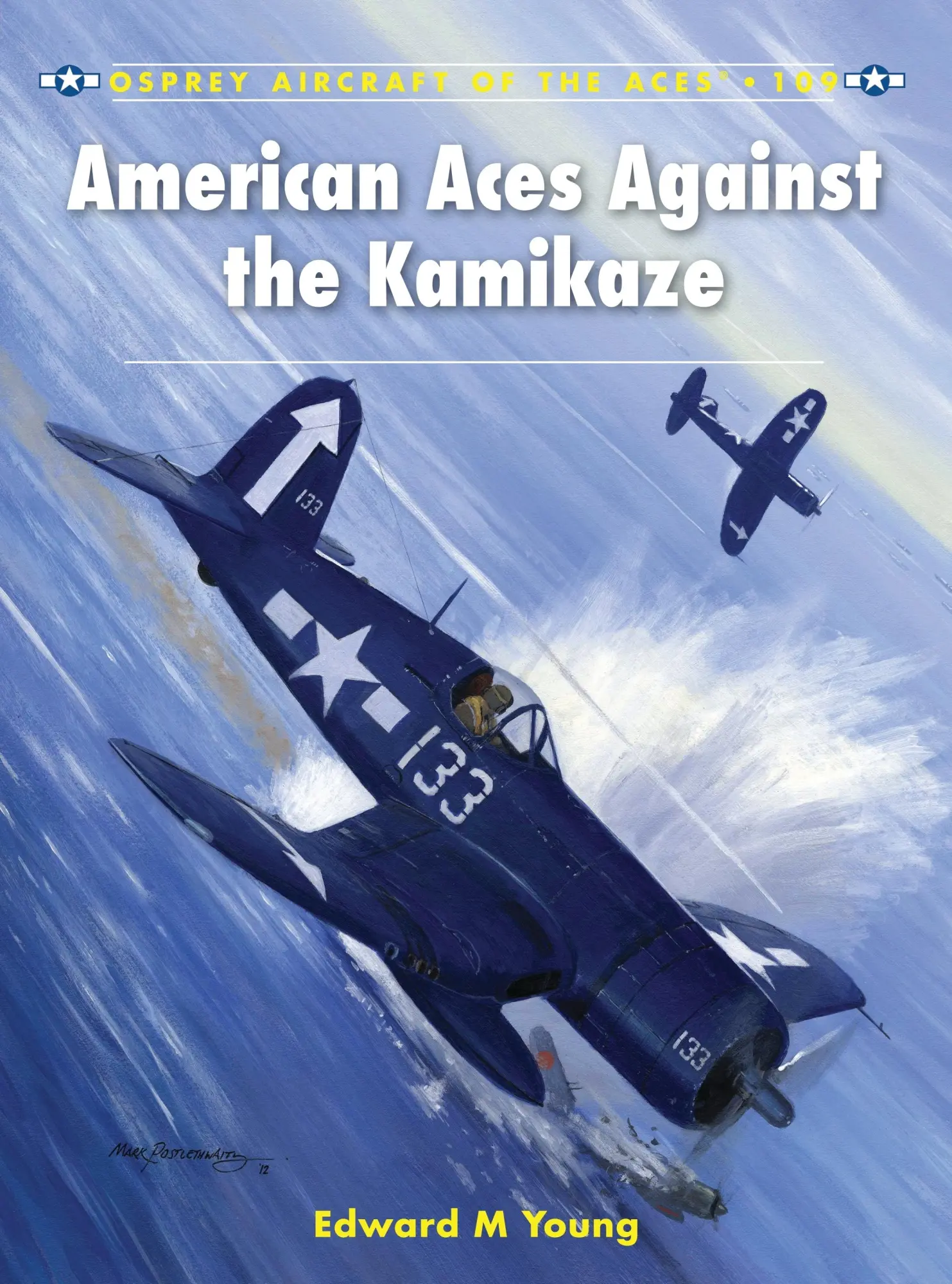 Cover: 9781849087452 | American Aces Against the Kamikaze | Edward M Young | Taschenbuch