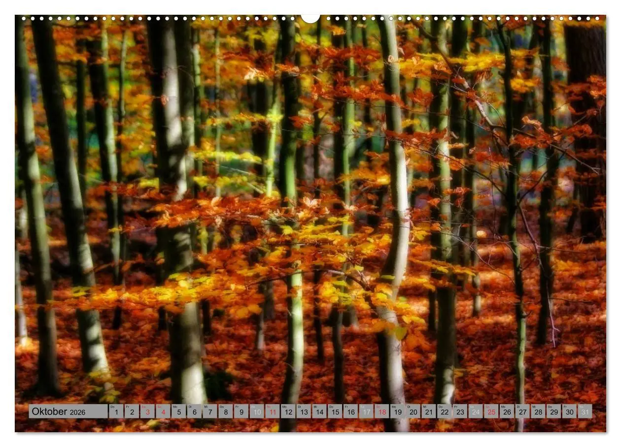 Bild: 9783457987452 | Spaziergang durch den Zauberwald (hochwertiger Premium Wandkalender...