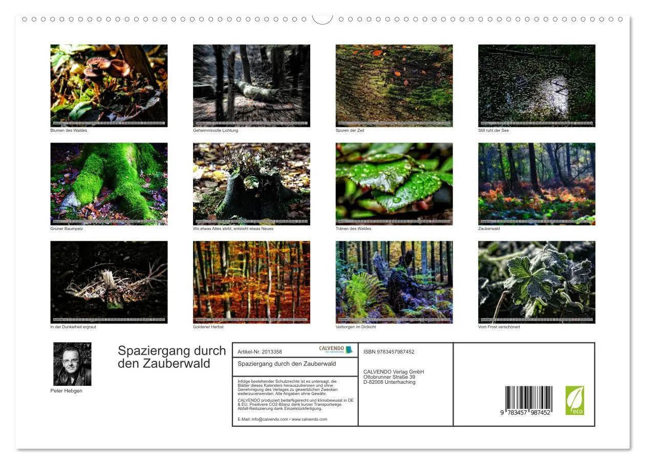 Bild: 9783457987452 | Spaziergang durch den Zauberwald (hochwertiger Premium Wandkalender...