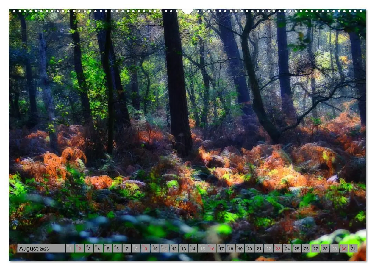 Bild: 9783457987452 | Spaziergang durch den Zauberwald (hochwertiger Premium Wandkalender...