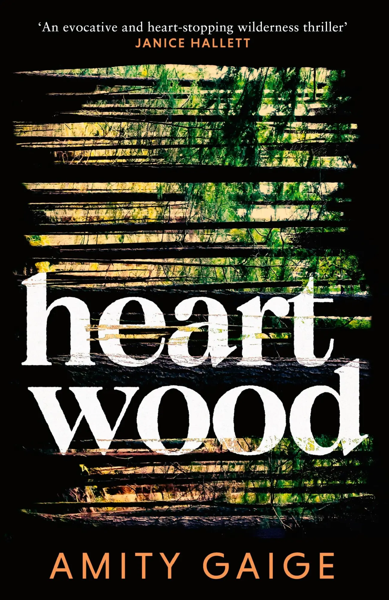 Cover: 9780349127552 | Heartwood | 'nearly impossible to put down' Jennifer Egan | Gaige