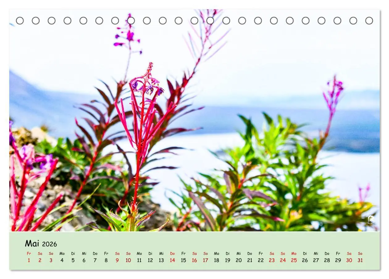 Bild: 9783457737552 | Entdecke den Yukon (Tischkalender 2026 DIN A5 quer), CALVENDO...