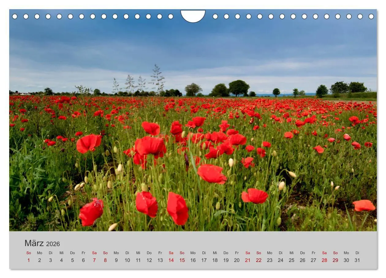 Bild: 9783457807552 | Die Schönheit der Bretagne (Wandkalender 2026 DIN A4 quer),...