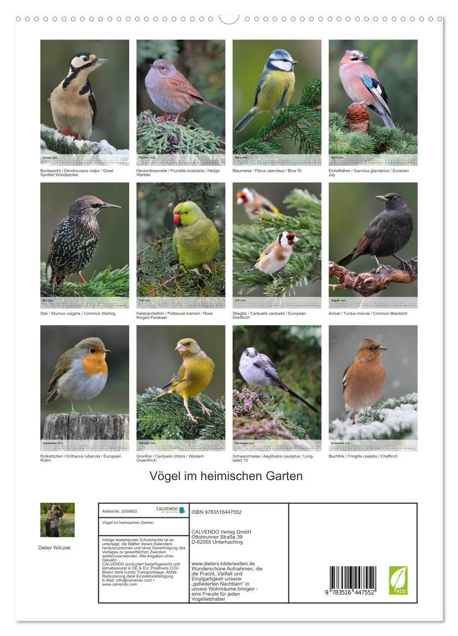 Bild: 9783516447552 | Vögel im heimischen Garten (hochwertiger Premium Wandkalender 2026...