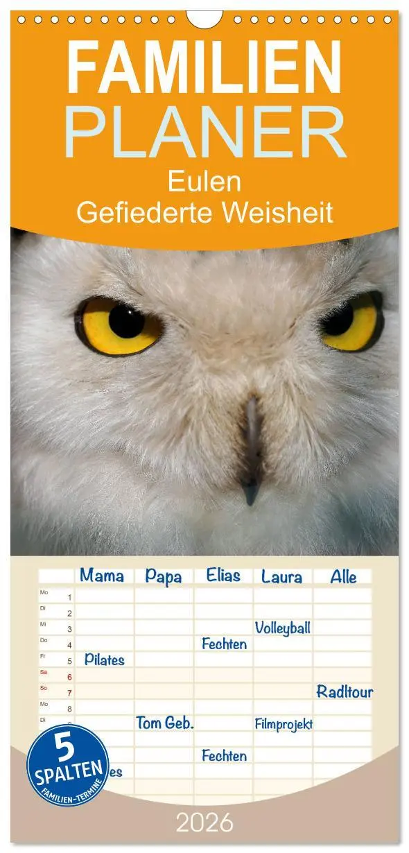 Cover: 9783516517552 | Familienplaner 2026 - Eulen. Gefiederte Weisheit mit 5 Spalten...