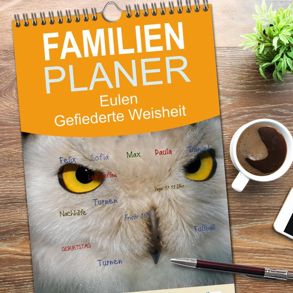 Bild: 9783516517552 | Familienplaner 2026 - Eulen. Gefiederte Weisheit mit 5 Spalten...