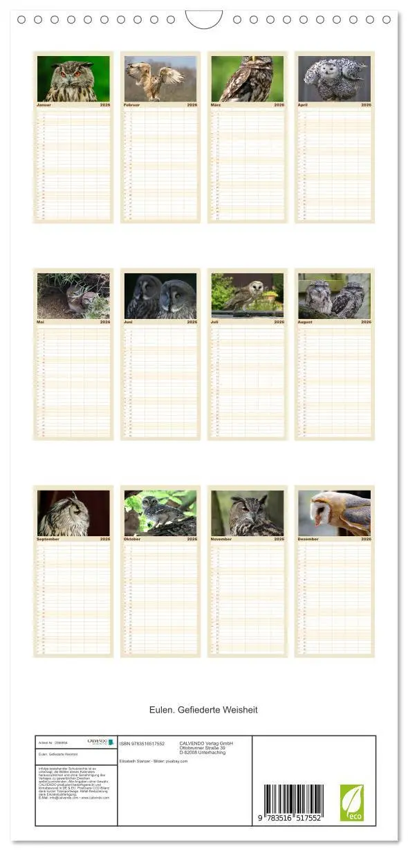 Bild: 9783516517552 | Familienplaner 2026 - Eulen. Gefiederte Weisheit mit 5 Spalten...