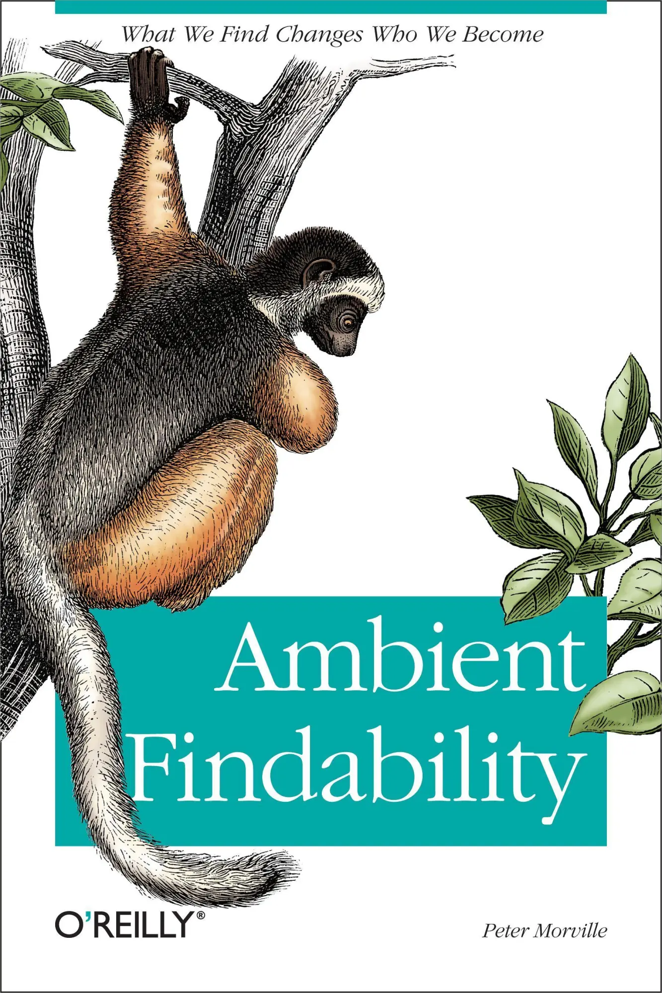 Cover: 9780596007652 | Ambient Findability | What We Find Changes Who We Become | Morville