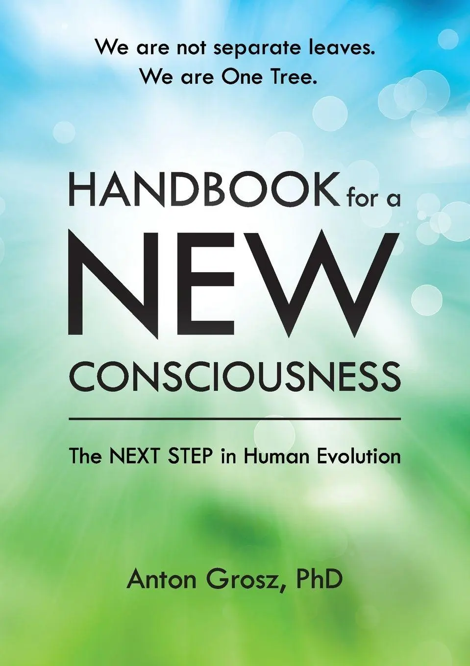 Cover: 9780971757752 | Handbook For A New Consciousness | The Next Step In Human Evolution