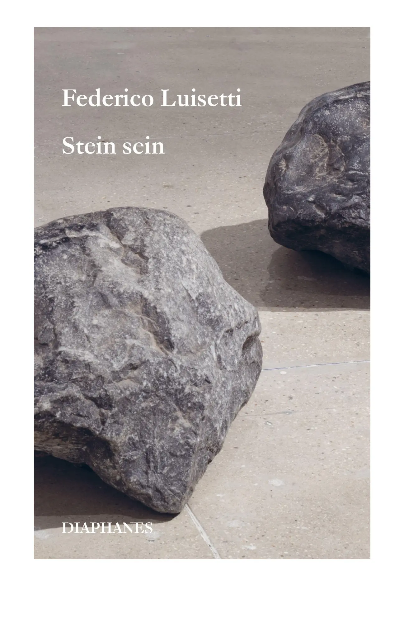 Cover: 9783035807752 | Stein sein | Ökologie einer mineralischen Welt | Federico Luisetti