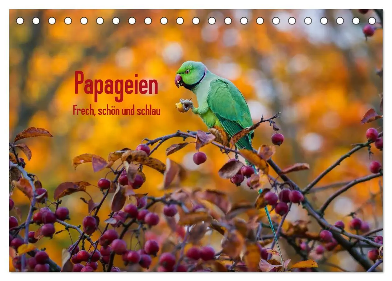 Cover: 9783457957752 | Papageien - Frech, schön und schlau (Tischkalender 2026 DIN A5...
