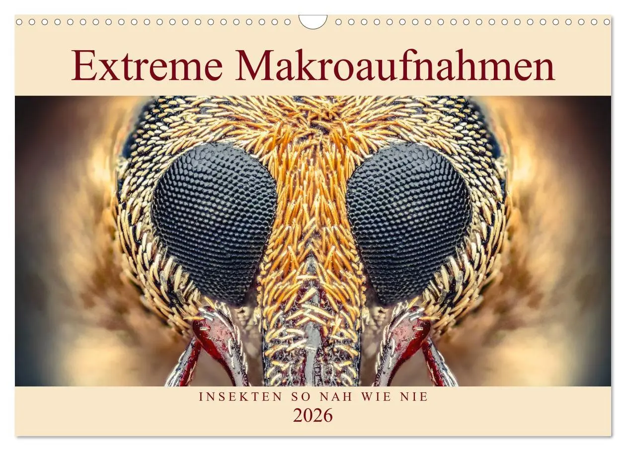 Cover: 9783457877852 | Extreme Makroaufnahmen - Insekten so nah wie nie (Wandkalender 2026...