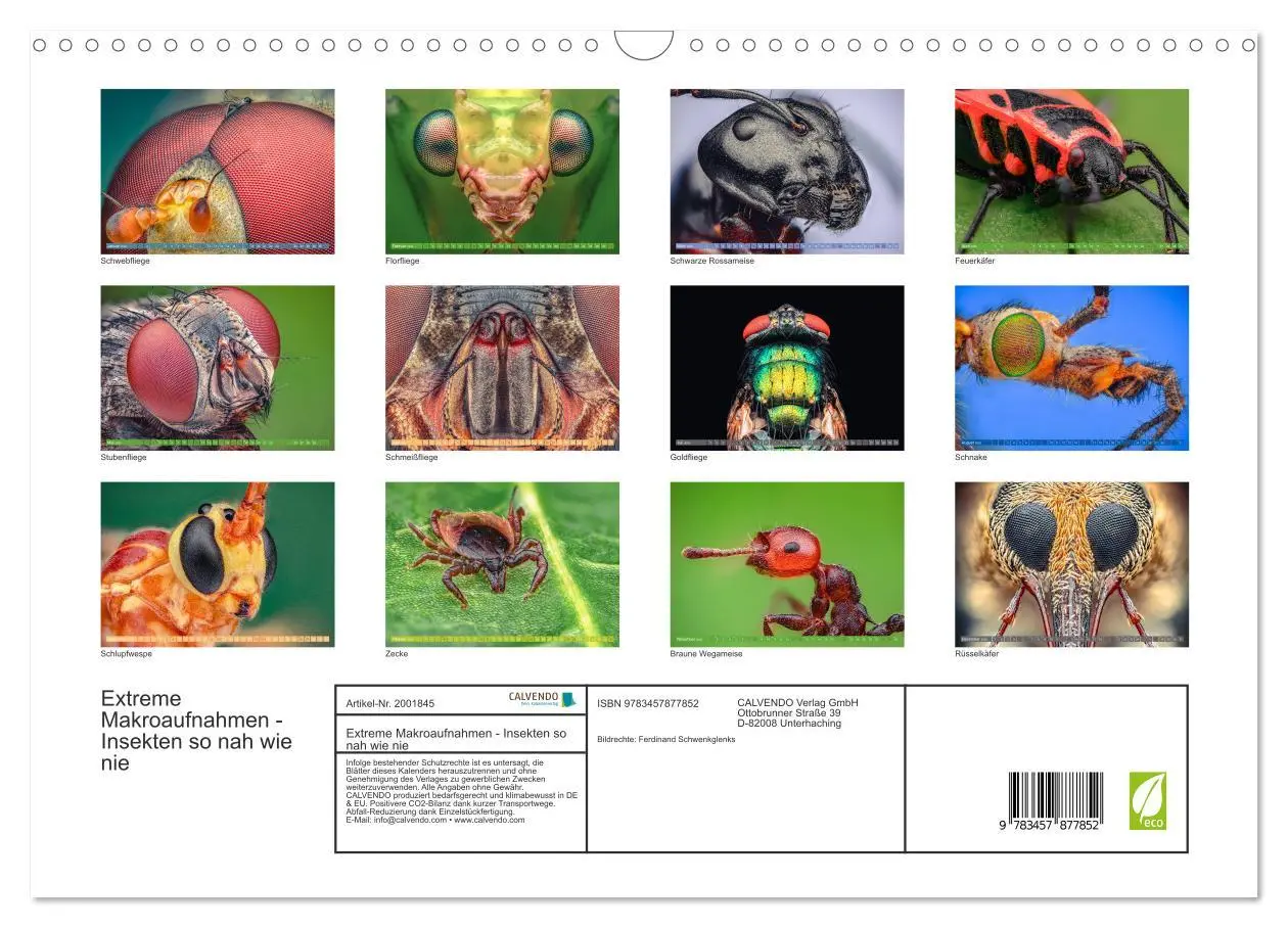 Bild: 9783457877852 | Extreme Makroaufnahmen - Insekten so nah wie nie (Wandkalender 2026...