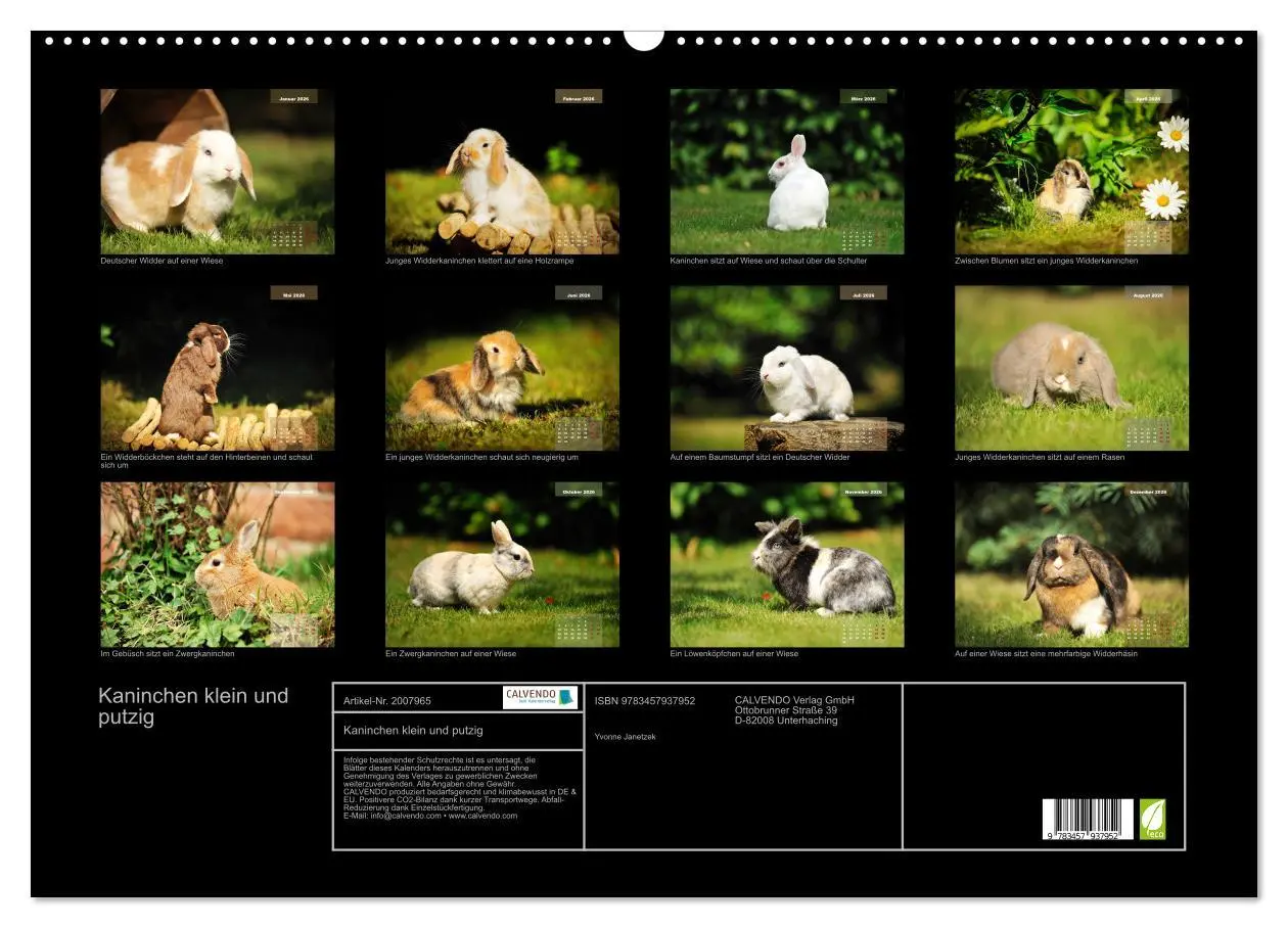 Bild: 9783457937952 | Kaninchen klein und putzig (Wandkalender 2026 DIN A2 quer),...