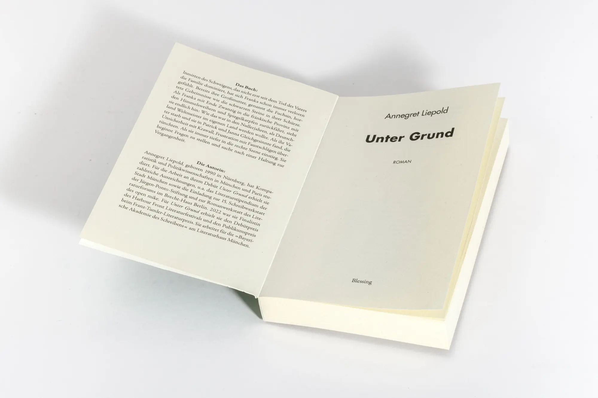 Bild: 9783896677952 | Unter Grund | Roman - 'Ein herausragender Debütroman.' BR | Liepold
