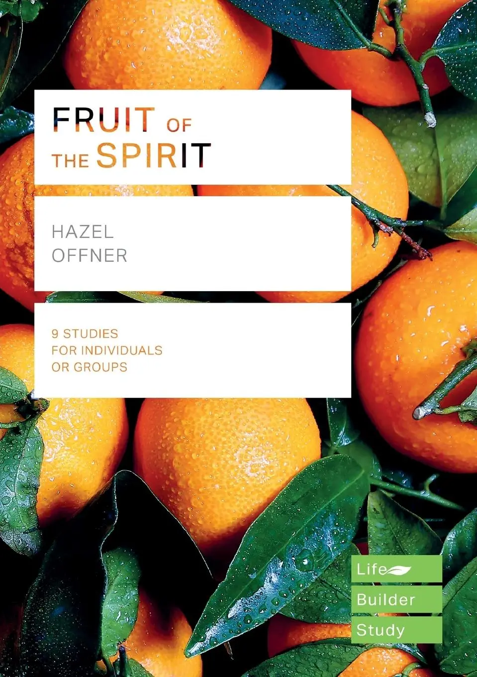 Cover: 9781783598052 | Fruit of the Spirit (Lifebuilder Study Guides) | Hazel Offner | Buch