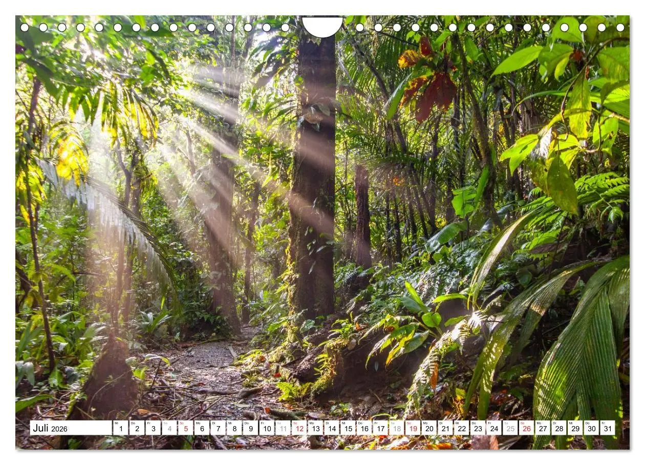 Bild: 9783457298152 | Costa Rica (Wandkalender 2026 DIN A4 quer), CALVENDO Monatskalender