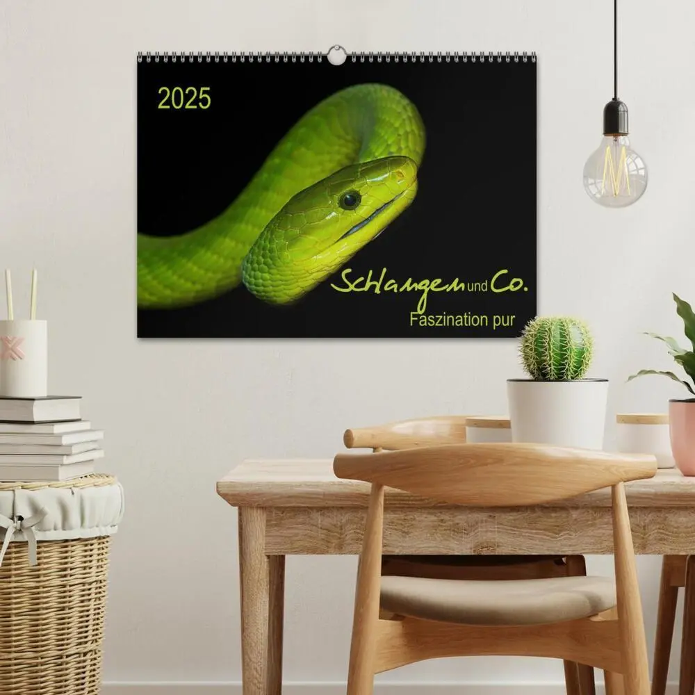 Bild: 9783435578252 | Schlangen und Co. - Faszination pur (Wandkalender 2025 DIN A3...