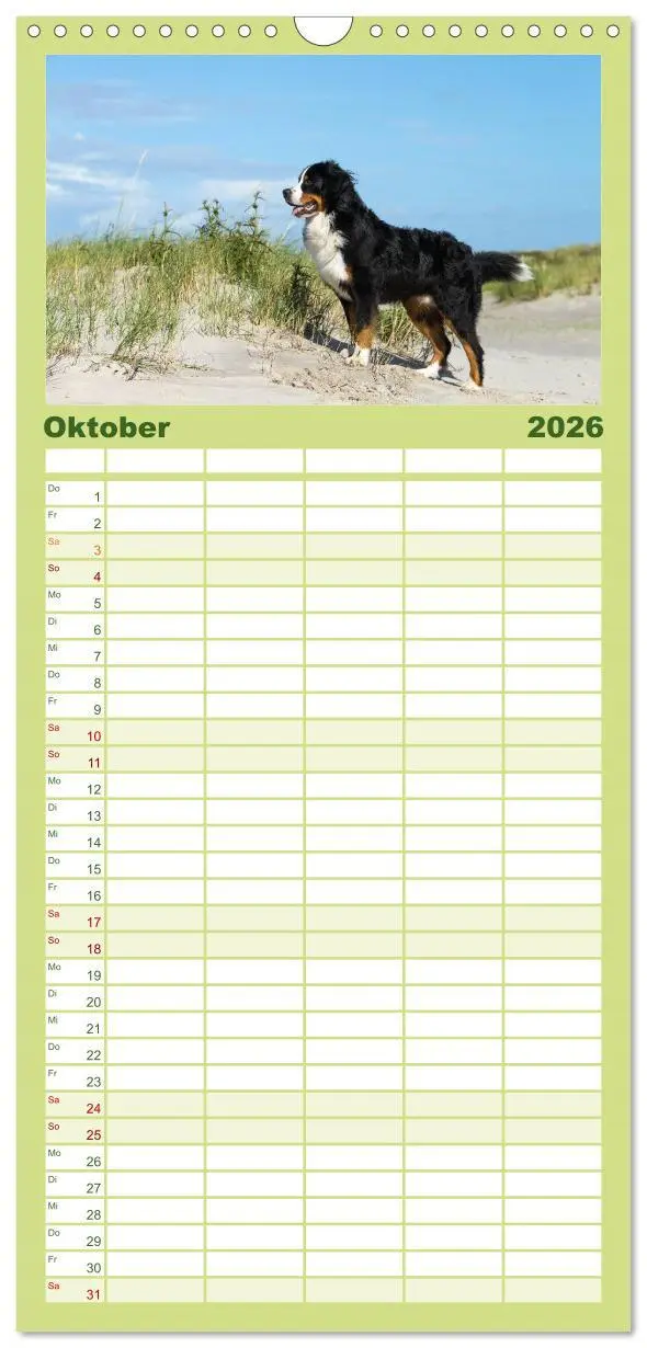 Bild: 9783516518252 | Familienplaner 2026 - Liebling BERNER SENNENHUND mit 5 Spalten...