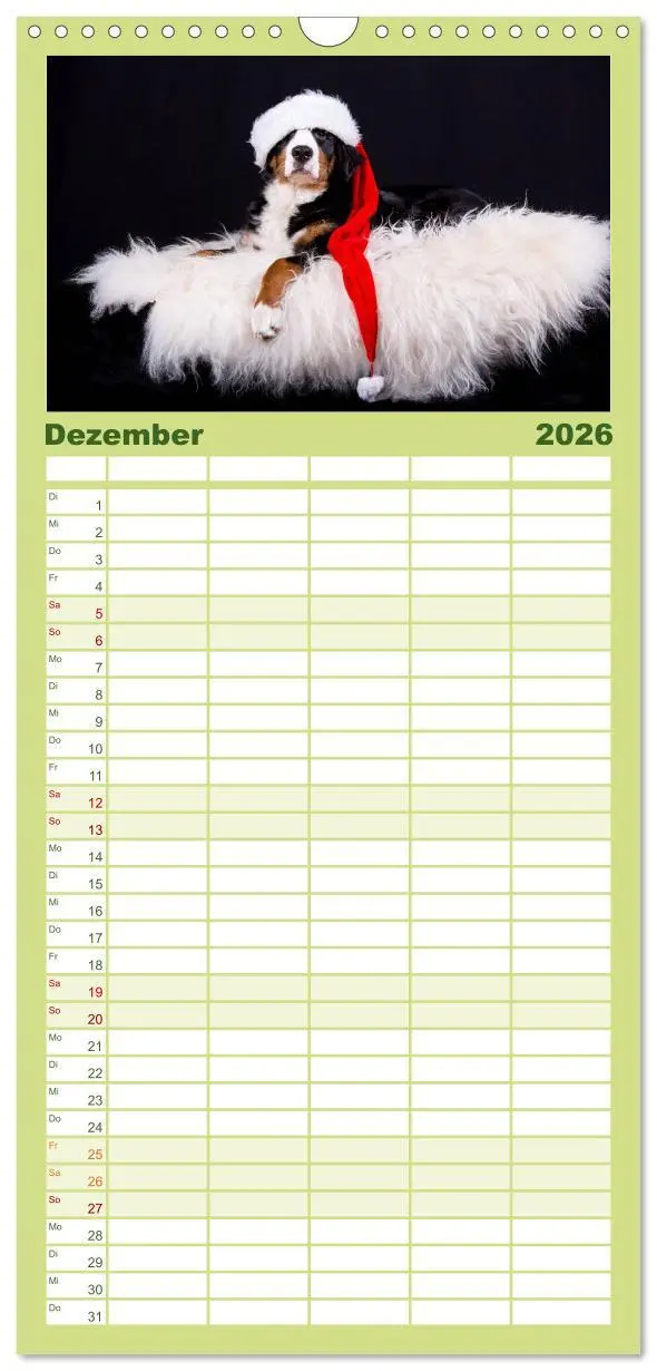 Bild: 9783516518252 | Familienplaner 2026 - Liebling BERNER SENNENHUND mit 5 Spalten...
