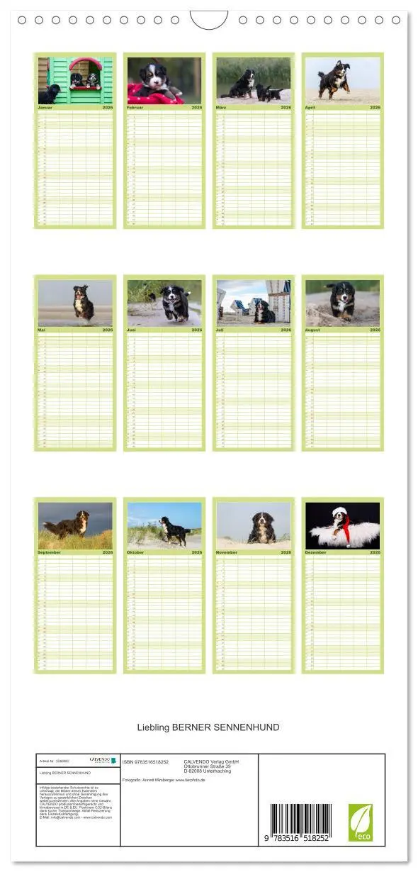 Bild: 9783516518252 | Familienplaner 2026 - Liebling BERNER SENNENHUND mit 5 Spalten...