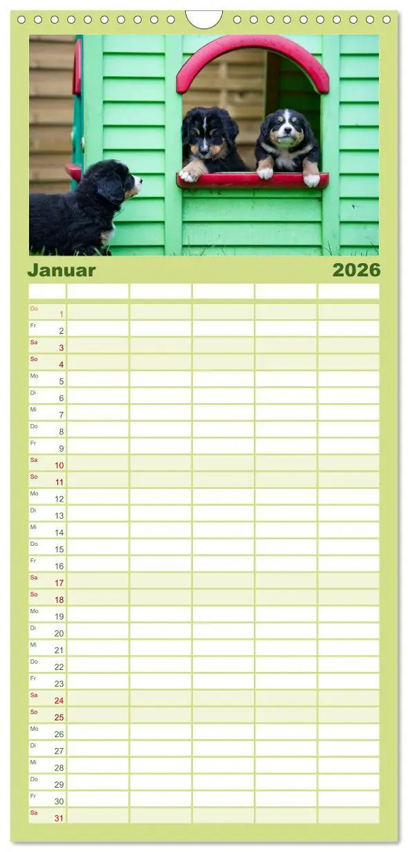 Bild: 9783516518252 | Familienplaner 2026 - Liebling BERNER SENNENHUND mit 5 Spalten...
