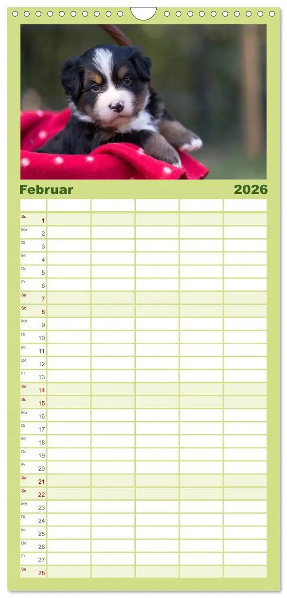 Bild: 9783516518252 | Familienplaner 2026 - Liebling BERNER SENNENHUND mit 5 Spalten...