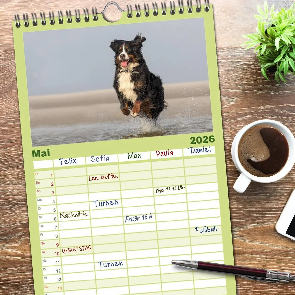 Bild: 9783516518252 | Familienplaner 2026 - Liebling BERNER SENNENHUND mit 5 Spalten...