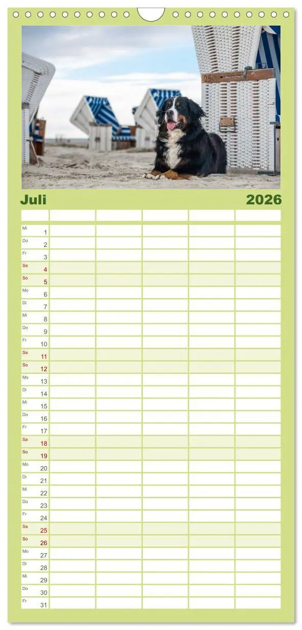 Bild: 9783516518252 | Familienplaner 2026 - Liebling BERNER SENNENHUND mit 5 Spalten...