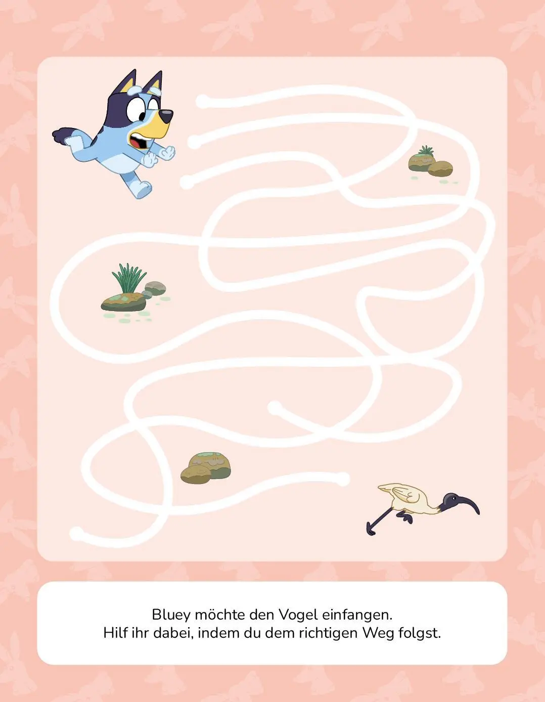 Bild: 9783849948252 | Bluey Rätsel-Mal-Spaß | Schwager &amp; Steinlein Verlag | Taschenbuch