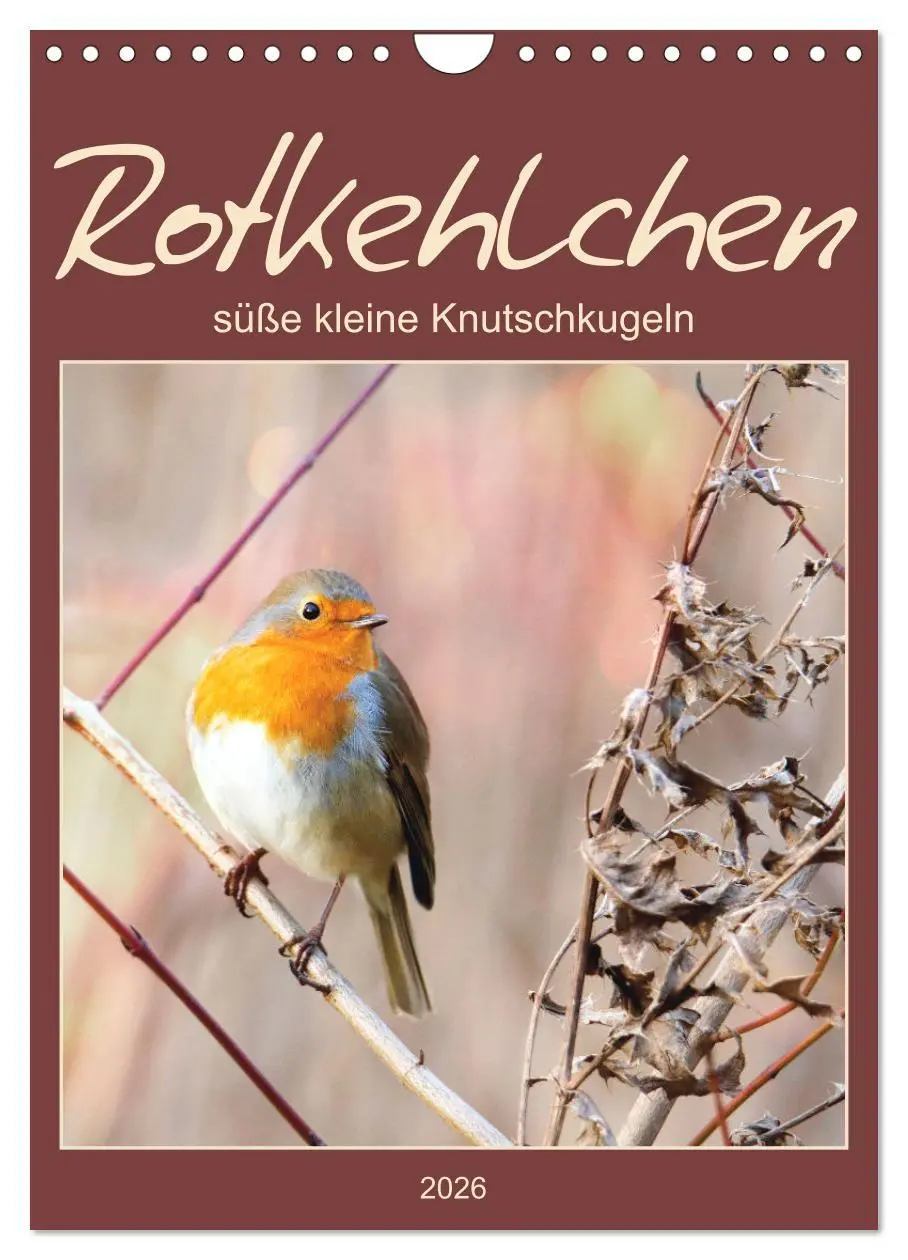 Cover: 9783516368352 | Rotkehlchen, süße kleine Knutschkugeln (Wandkalender 2026 DIN A4...