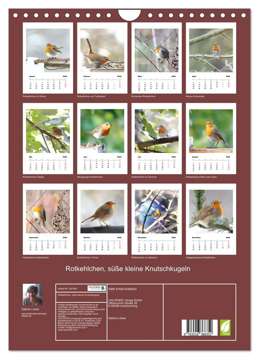 Bild: 9783516368352 | Rotkehlchen, süße kleine Knutschkugeln (Wandkalender 2026 DIN A4...
