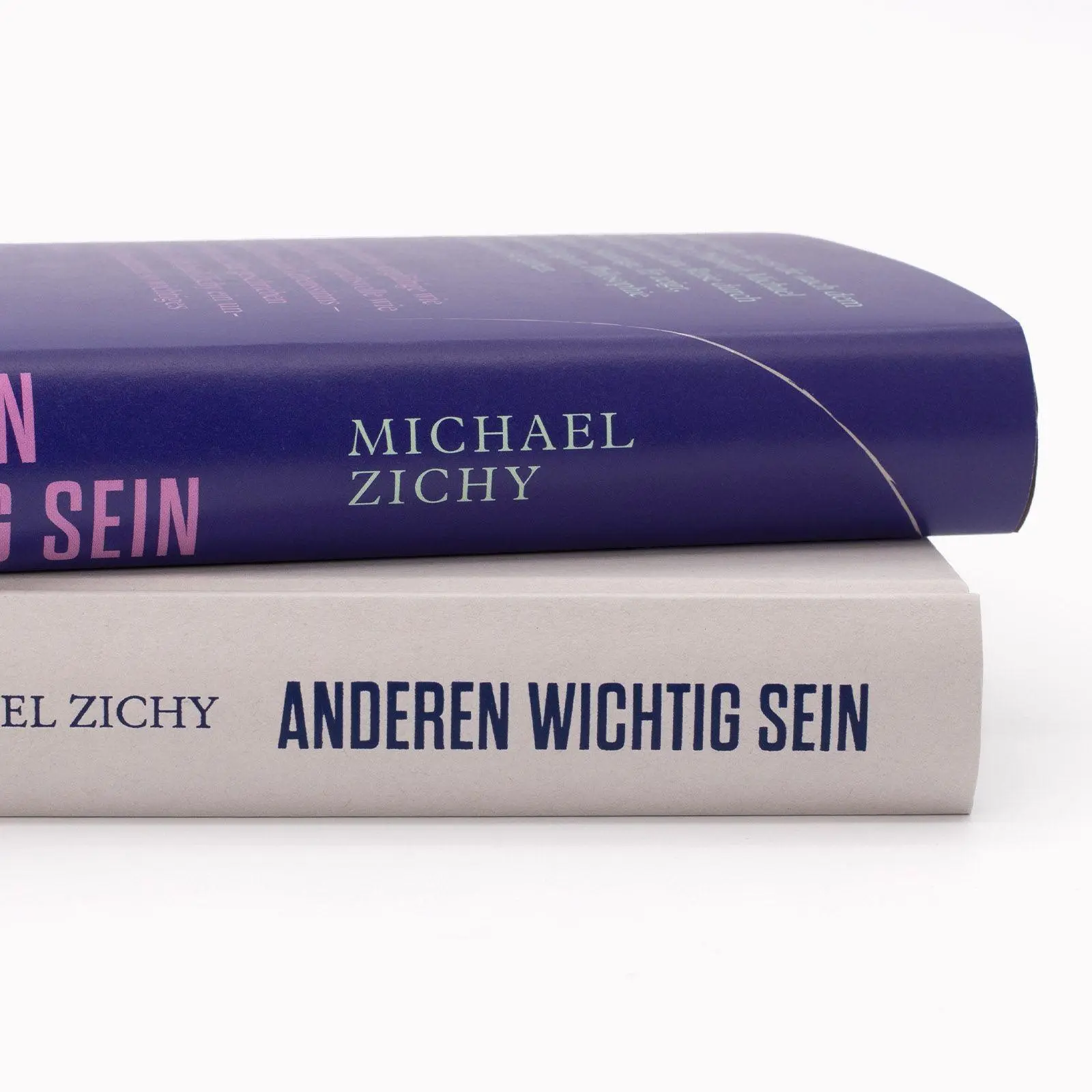 Bild: 9783518588352 | Anderen wichtig sein | Michael Zichy | Buch | 350 S. | Deutsch | 2025