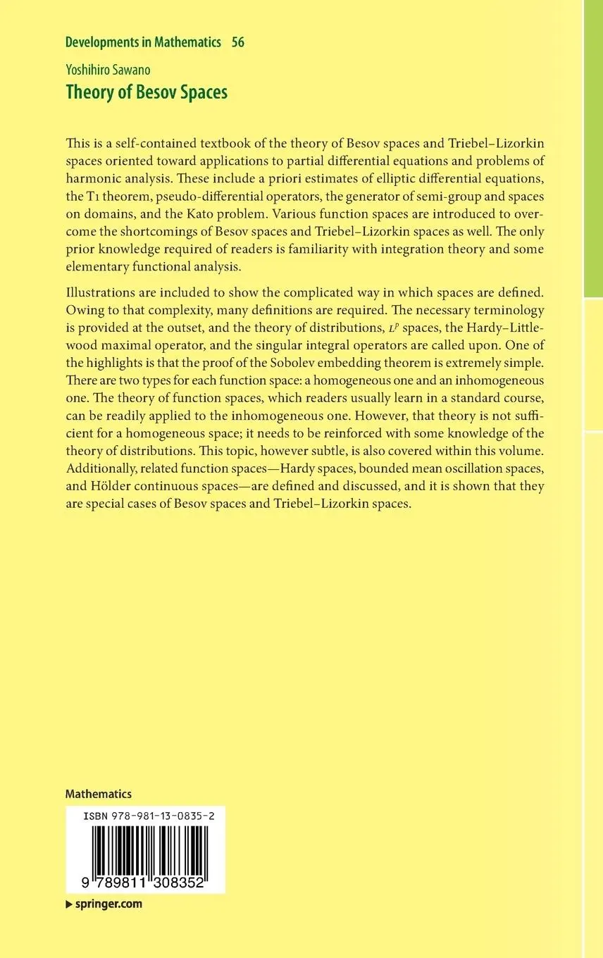 Rückseite: 9789811308352 | Theory of Besov Spaces | Yoshihiro Sawano | Buch | xxiii | Englisch