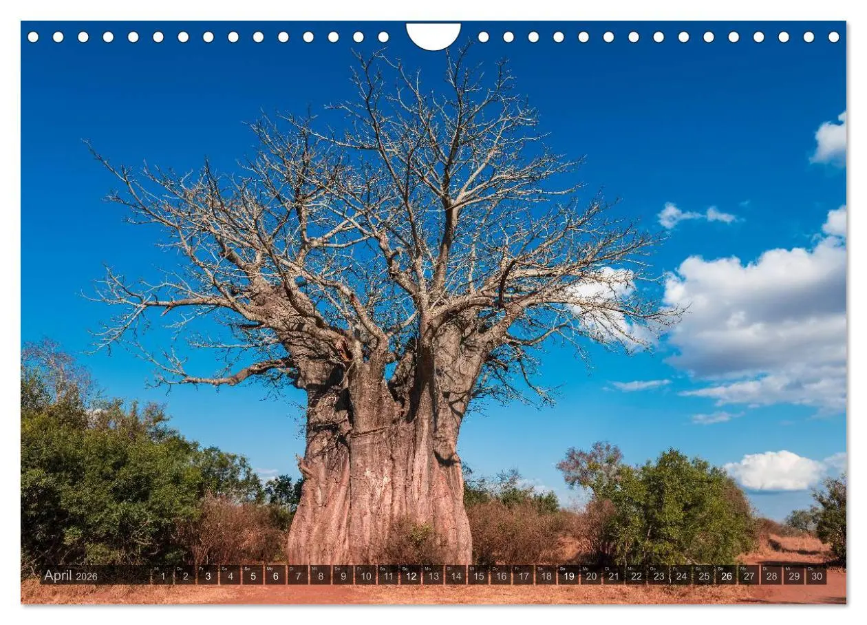 Bild: 9783516118452 | Südafrika - Die Landschaft (Wandkalender 2026 DIN A4 quer),...