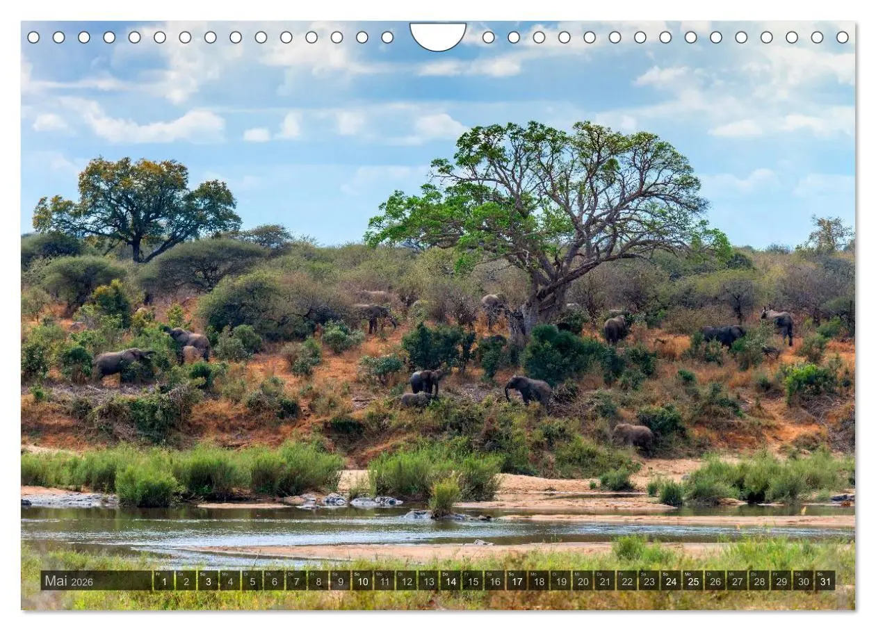 Bild: 9783516118452 | Südafrika - Die Landschaft (Wandkalender 2026 DIN A4 quer),...