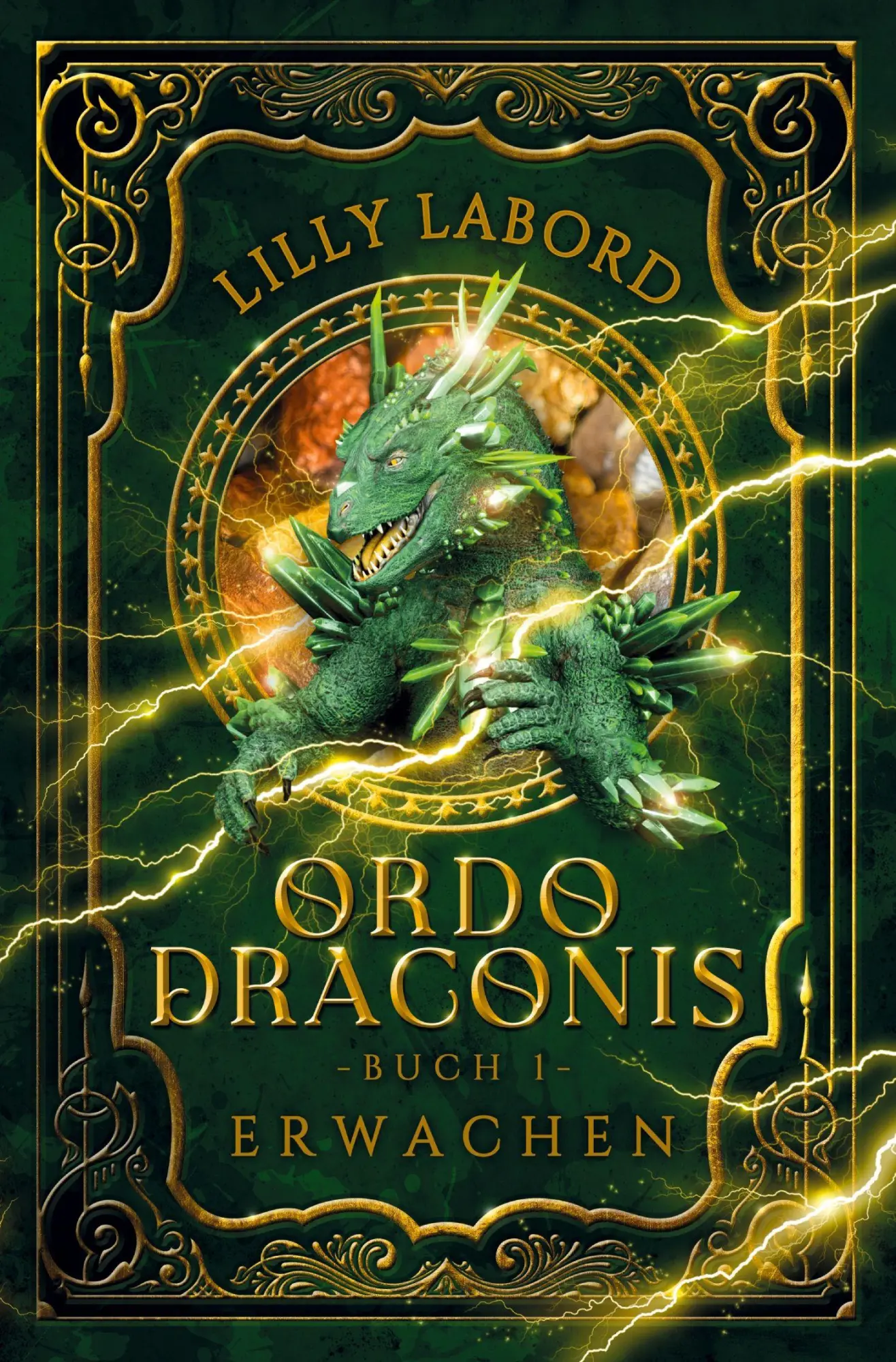 Cover: 9783819468452 | Ordo Draconis - Erwachen | Lilly Labord | Taschenbuch | 272 S. | 2025