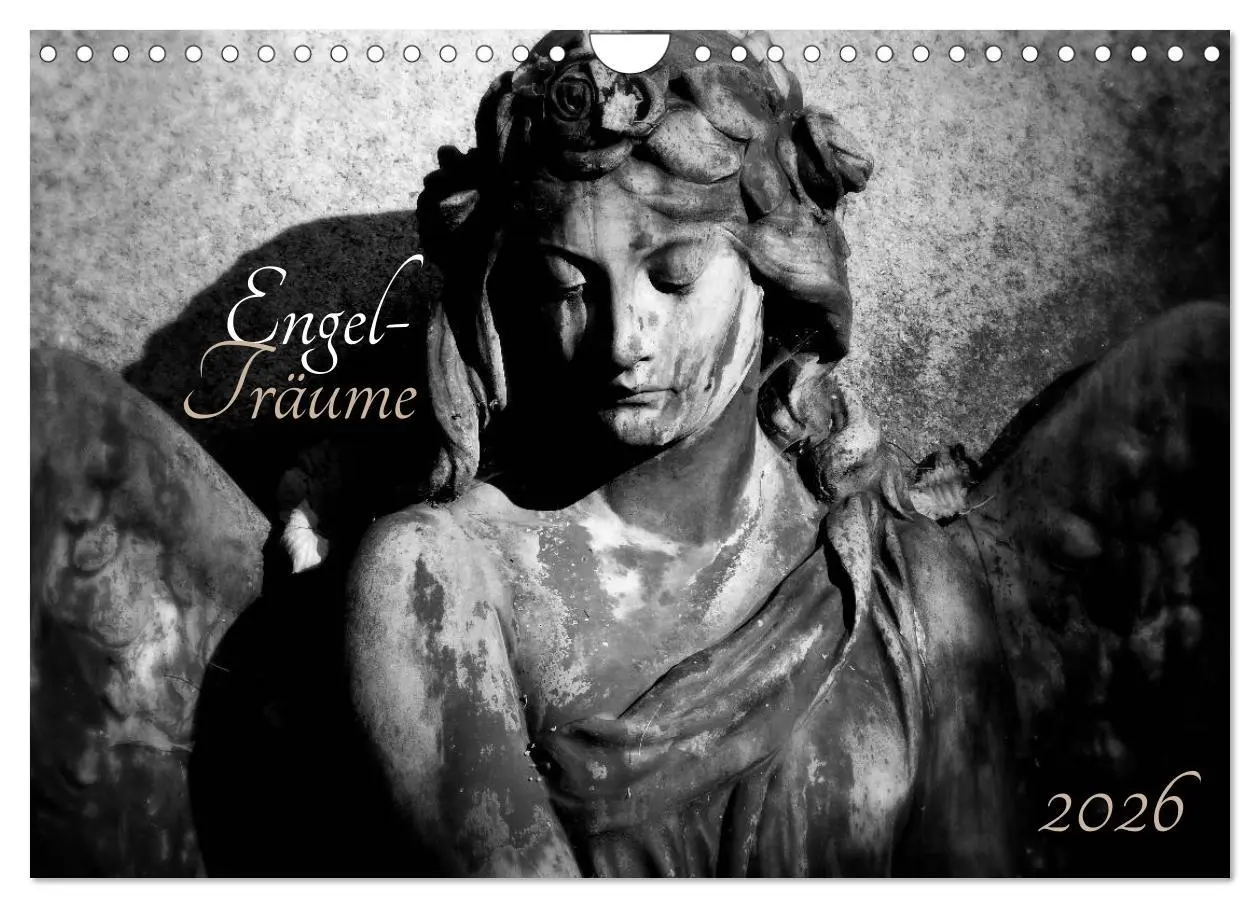 Cover: 9783516038552 | Engel-Träume (Wandkalender 2026 DIN A4 quer), CALVENDO Monatskalender