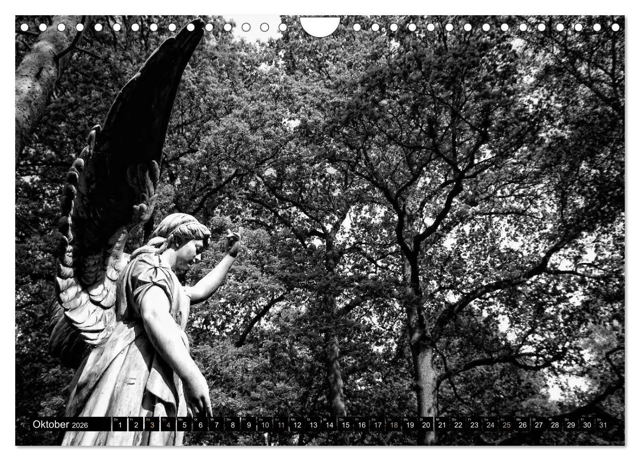 Bild: 9783516038552 | Engel-Träume (Wandkalender 2026 DIN A4 quer), CALVENDO Monatskalender