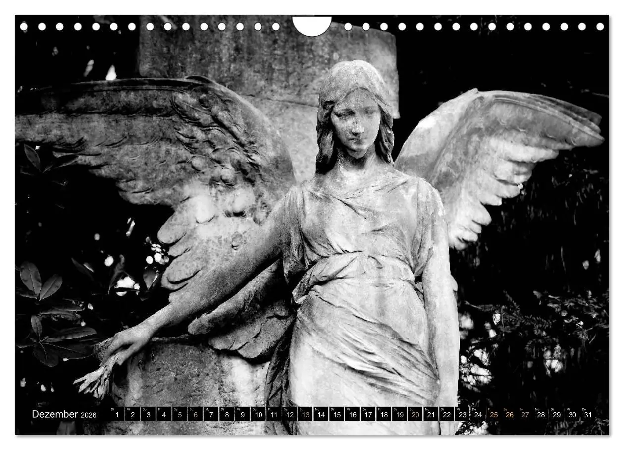 Bild: 9783516038552 | Engel-Träume (Wandkalender 2026 DIN A4 quer), CALVENDO Monatskalender