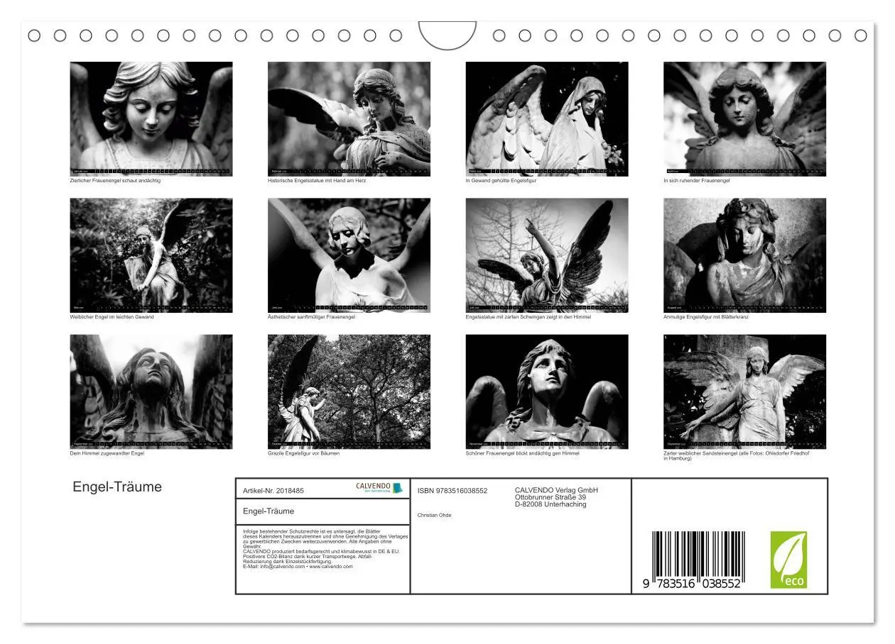 Bild: 9783516038552 | Engel-Träume (Wandkalender 2026 DIN A4 quer), CALVENDO Monatskalender