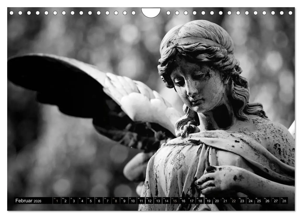 Bild: 9783516038552 | Engel-Träume (Wandkalender 2026 DIN A4 quer), CALVENDO Monatskalender
