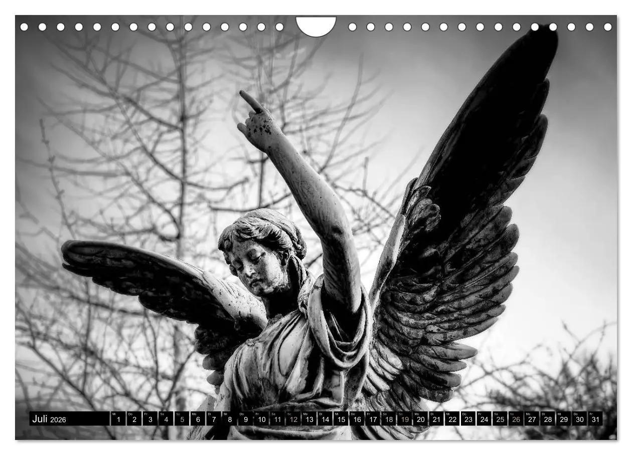 Bild: 9783516038552 | Engel-Träume (Wandkalender 2026 DIN A4 quer), CALVENDO Monatskalender