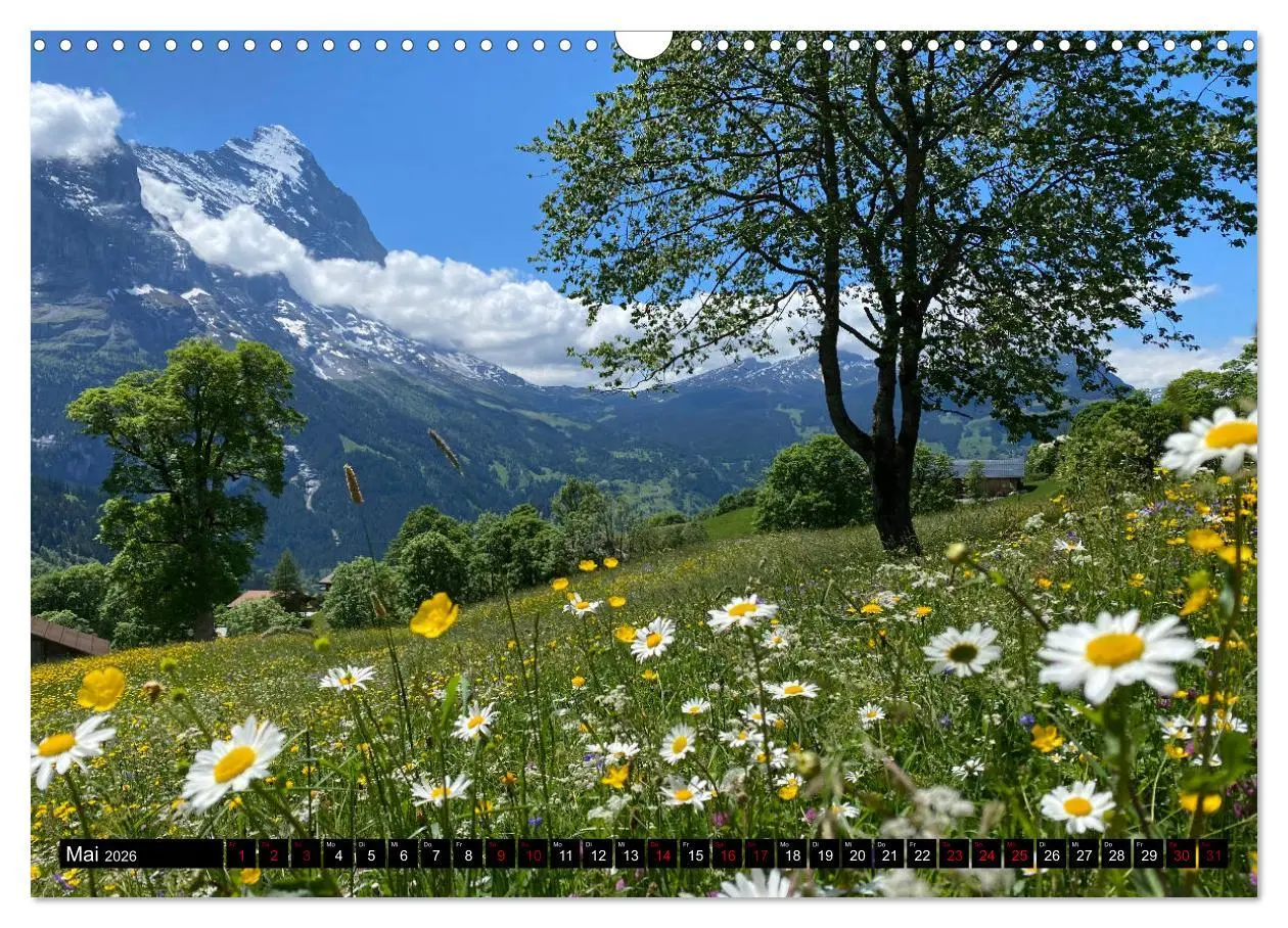 Bild: 9783457558652 | Grindelwald - Jungfrauregion Schweiz (Wandkalender 2026 DIN A3...