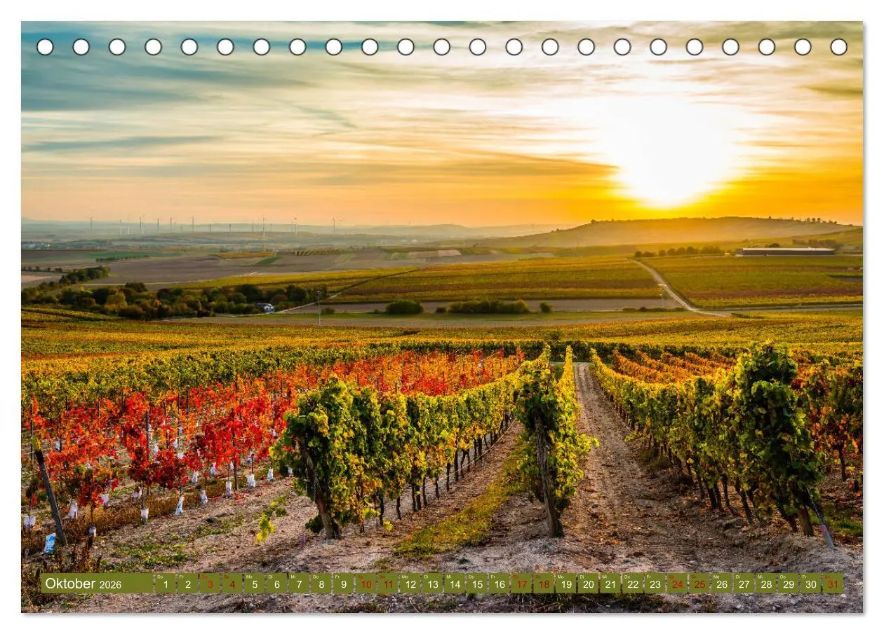 Bild: 9783457868652 | Rheinhessen-Impressionen (Tischkalender 2026 DIN A5 quer), CALVENDO...