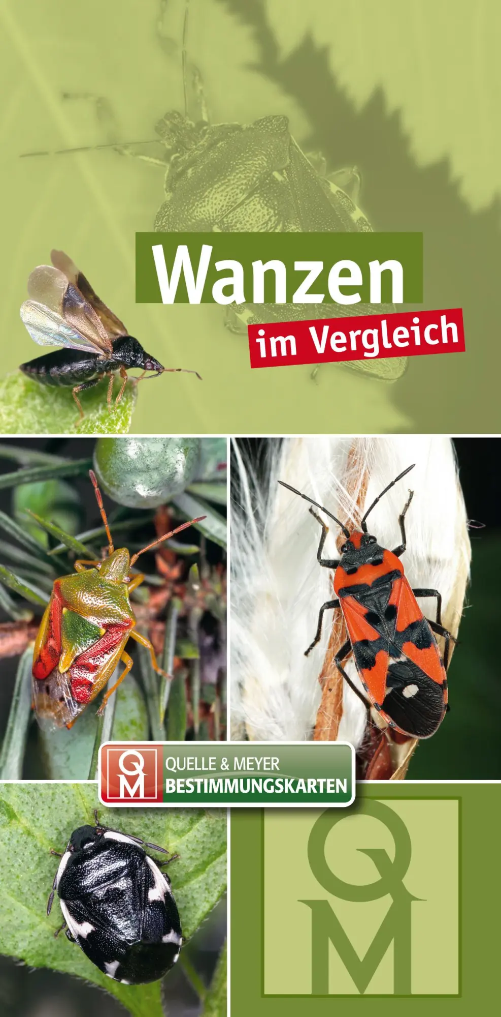 Cover: 9783494018652 | Wanzen | im Vergleich | Quelle &amp; Meyer Verlag | Taschenbuch | 8 S.