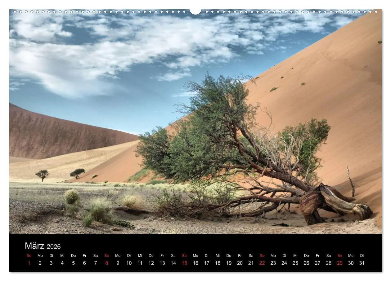 Bild: 9783516198652 | Wüstenzauber Namibia (Wandkalender 2026 DIN A2 quer), CALVENDO...