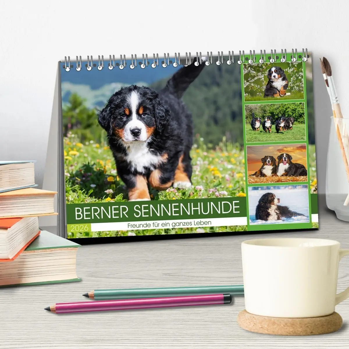 Bild: 9783516718652 | Berner Sennenhunde - Freunde für ein ganzes Leben (Tischkalender...